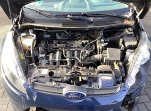 Bare Engine FORD FIESTA VI (CB1, CCN)