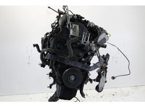 Bare Engine FORD FIESTA VI (CB1, CCN)