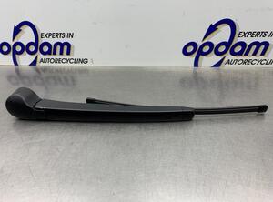 Wiper Arm VW POLO (AW1, BZ1)