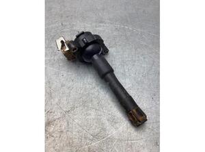 Ignition Coil BMW 5 Touring (E39), BMW 5 (E39), LAND ROVER RANGE ROVER III (L322), BMW 3 Convertible (E46)