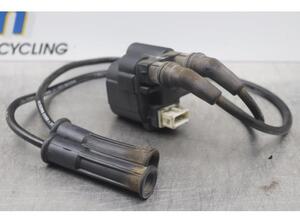 Ignition Coil RENAULT MEGANE I (BA0/1_)