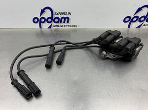 Ignition Coil FIAT PANDA (169_)