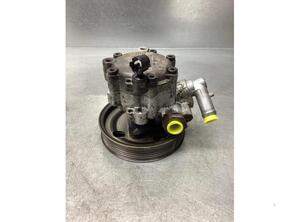 Power steering pump FIAT DOBLO Cargo (263_), FIAT DOBLO Platform/Chassis (263_)