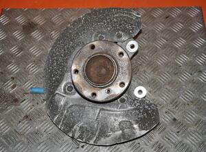 Stub Axle BMW X1 (E84)