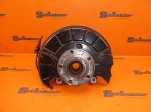 Stub Axle VW Passat (3C2)