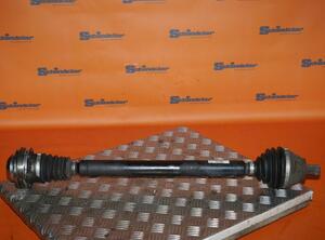 Drive Shaft VW Touran (1T1, 1T2), VW Touran (1T3)