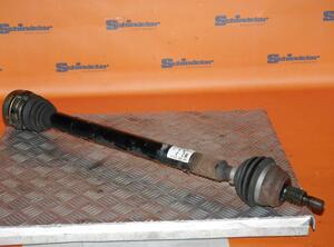 Drive Shaft VW Golf IV (1J1)