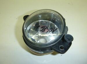 Fog Light SKODA Roomster (5J)