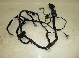 Door Wiring Harness KIA Sorento II (XM)