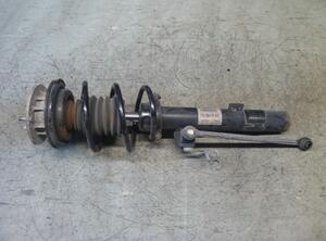 Suspension Strut BMW Z4 Roadster (E89)