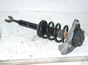 Suspension Strut AUDI A4 (8EC, B7)