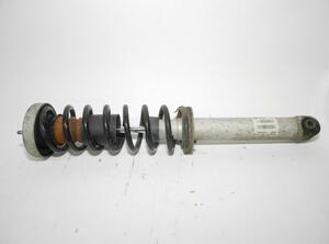 Suspension Strut BMW 5er (E60)