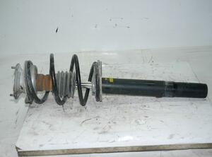 Suspension Strut BMW 5er Touring (E39)