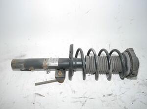 Suspension Strut AUDI A2 (8Z0)