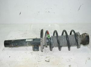 Suspension Strut SKODA Fabia II (542)