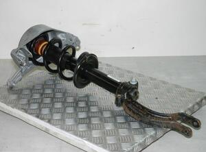 Suspension Strut AUDI A5 Sportback (8TA)