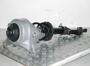 Suspension Strut AUDI A5 Sportback (8TA)