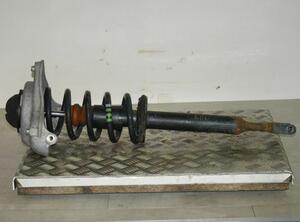 Suspension Strut AUDI A6 (4F2, C6)