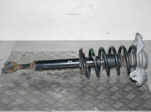 Suspension Strut AUDI A6 (4B2, C5)