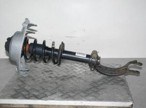 Suspension Strut AUDI Q5 (8RB)