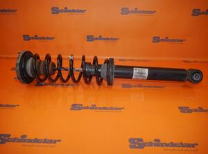 Suspension Strut BMW 5er (F10)