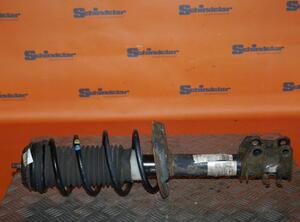 Suspension Strut FIAT Grande Punto (199), FIAT Punto (199), FIAT Punto Evo (199)