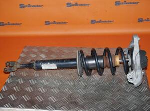 Suspension Strut AUDI A4 (8EC, B7)