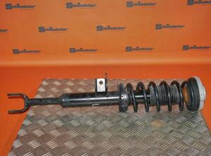 Suspension Strut BMW 5er (F10)