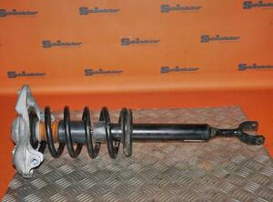 Suspension Strut AUDI A6 Avant (4B5)