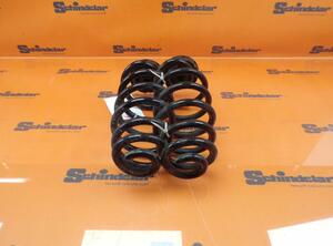 Spring Set AUDI A4 (8EC, B7)