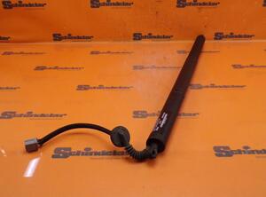 Shock Absorber JEEP GRAND CHEROKEE IV (WK, WK2)