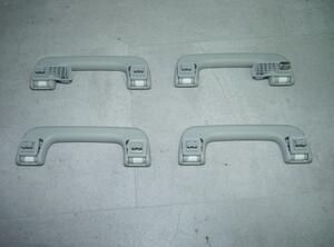 Grab Handle AUDI E-TRON (GEN)