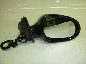 Wing (Door) Mirror VW Passat (3C2)