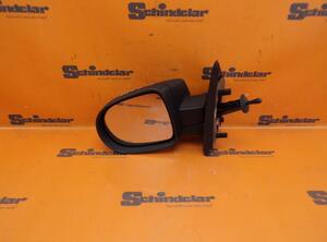 Wing (Door) Mirror RENAULT Twingo II (CN0)