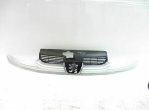 Radiateurgrille PEUGEOT 206 Schrägheck (2A/C)