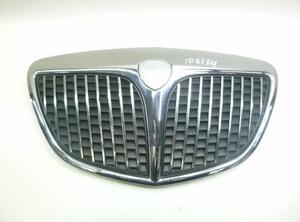 Radiateurgrille FIAT Idea (350), LANCIA Musa (350)