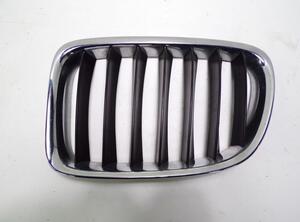 Radiateurgrille BMW X1 (E84)