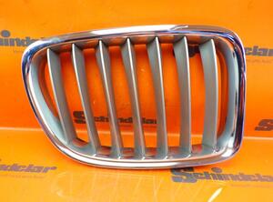 Radiateurgrille BMW X1 (E84)