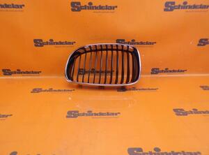 Radiateurgrille BMW 1er (E81), BMW 1er (E87)