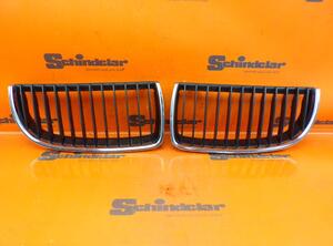 Radiator Grille BMW 3er (E90)