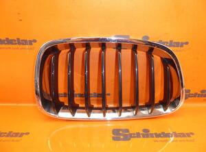 Radiator Grille BMW 1 (F20)