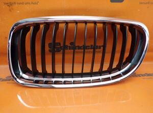 Radiator Grille BMW 3 (E90)