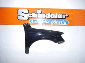 Spatbord VW Passat (362)