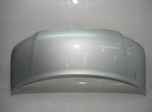 Bonnet VW Transporter V Kasten (7EA, 7EH, 7HA, 7HH)