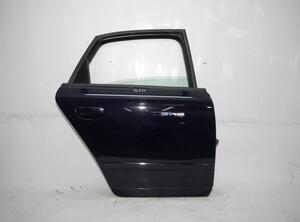 Door AUDI A4 (8EC, B7)