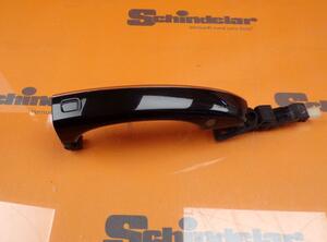 Door Handle AUDI A8 (4H2, 4H8, 4HC, 4HL)