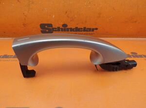 Door Handle VW GOLF VII (5G1, BQ1, BE1, BE2)