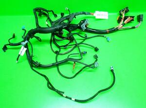 Wiring Harness DACIA Sandero (--), DACIA Sandero II (--)