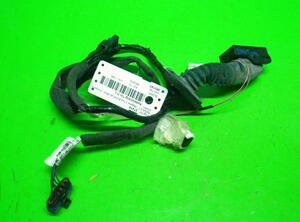 Wiring Harness RENAULT Megane II (BM0/1, CM0/1)