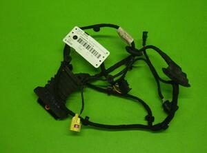 Wiring Harness VW Passat (3C2)